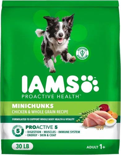 IAMS Proactive Health Adult Minichunks Alimento Seco para Perros receta de Pollo y Granos Integrales, Bolsa de 30 lb