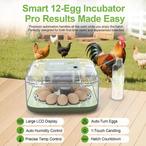 Miniatura 2 de Incubadoras para incubar huevos, capacidad de 12 huevos, incubadora de huevos con giro automático de huevos y control de humedad para todas las aves