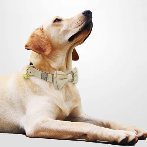 Miniatura 2 de Paquete de 2 collares de perro con corbatín y campanas, ajustable lindo collar de corbatín para perros pequeños, medianos y grandes, mascotas