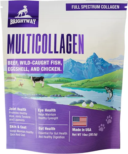 Péptido multicolágeno colágeno líquido diario para perros, colágeno de perro, membrana en polvo de cáscara de huevo para perros - artritis, salud de