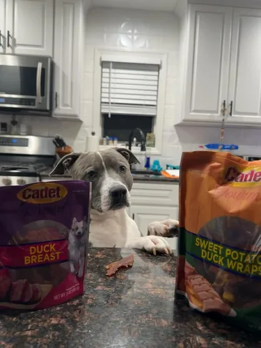 Miniatura 3 de Cadet Envolturas Gourmet de Batata y Pollo Masticables de Ingredientes Limitados para Perros, Golosinas de Entrenamiento Saludables y Naturales