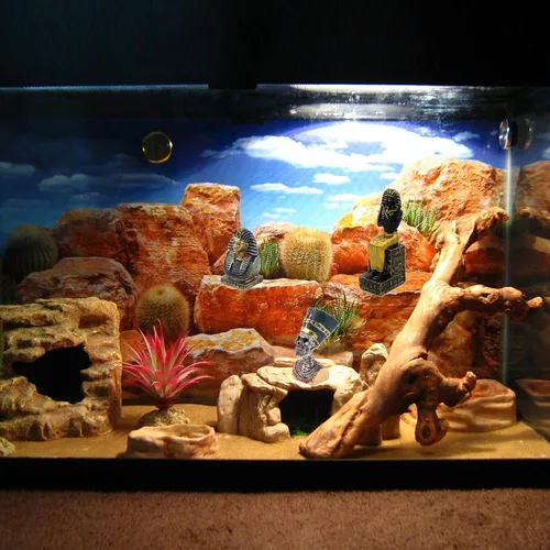 Miniatura 2 de Faraón del Antiguo Egipto para acuario, decoración de pecera, decoración (juego de 3) Esfinge, momia, sacerdote, cráneo, escultura, reptil, tortuga