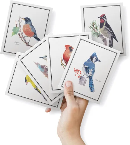 Miniatura 2 de Twigs Paper - Tarjetas de felicitación de aves americanas surtidas - Tarjetas de papelería con sobres, tarjeta de agradecimiento, tarjetas de notas