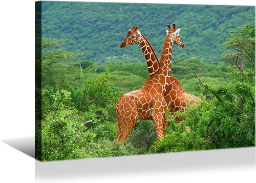Miniatura 27 de YONICA Lienzo de pared de animales de la naturaleza, pintura de pared de águila, impresión artística de águila calva voladora impresa en lienzo