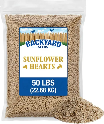 Miniatura 10 de CountryMax Backyard Seeds Semillas de Girasol de Aceite Negro (10 libras)