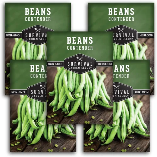 Miniatura 12 de 1 paquete de semillas de frijol Contender Bush para plantar con instrucciones para cultivar deliciosos judías verdes sin cuerda en tu huerto casero