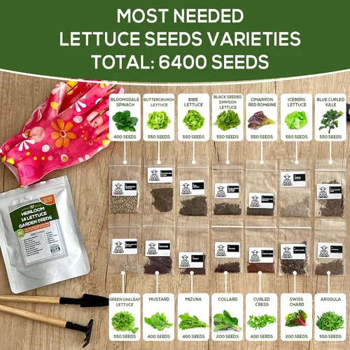 Miniatura 2 de Semillas de jardín de lechuga y ensalada para plantar, más de 6400 semillas de verduras cultivadas en Estados Unidos sin OMG para cultivo doméstico