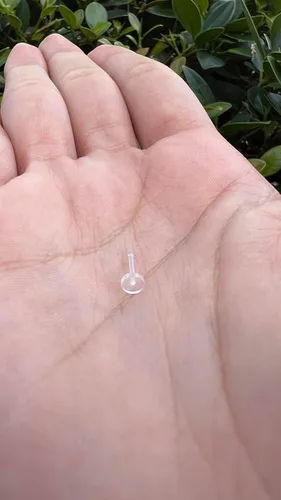 Miniatura 9 de Satix Retenedores de piercing transparentes de estilo mixto para cirugía de trabajo, retenedor de aretes transparente Bioflex, retenedor de anillos