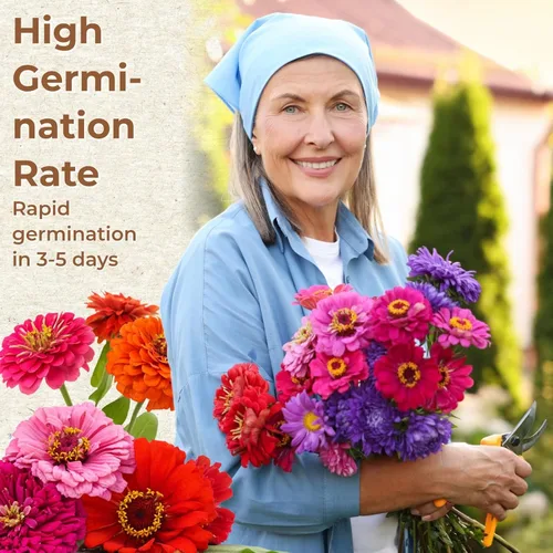 Miniatura 5 de Más de 16000 semillas de flores de Zinnia para mezcla de colores 2026-7+, alta tasa de germinación, perfectas para jardines, mezcla de semillas