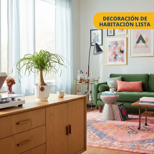 Miniatura 2 de Costa Farms Palma de Cola de Caballo, Planta Viva en Maceta Decorativa, Fácil de Mantener, Planta de Interior Perfecta para el Hogar, Habitación u
