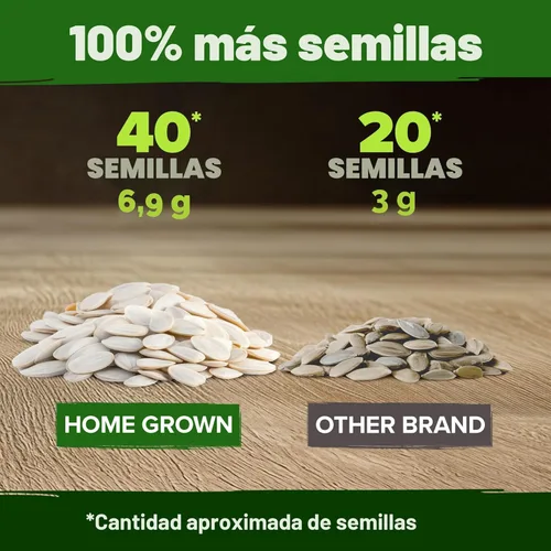 Miniatura 3 de HOME GROWN Semillas de calabaza 5 variedades, mezcla de 40+ reliquia sin OMG, alta germinación, campo de Connecticut, azul, blanco y mini calabazas