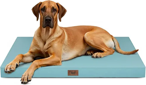 Miniatura 60 de Cama ortopédica de felpa para perros y cachorros medianos, camas impermeables para perros de 30 x 20 pulgadas con funda extraíble lavable, tapete