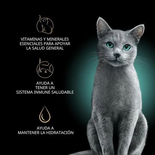 Miniatura 3 de Sheba Perfect Portions - Cortes de comida húmeda para gatos en salsa, con salmón sostenible, plato de trucha tierno y con atún sostenible, bandejas