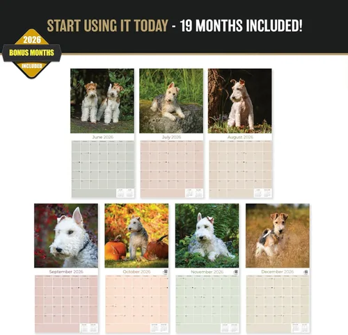 Miniatura 2 de Calendario 2025 2026 de Fox Terrier de Pelo Duro - Calendario mensual de pared de raza de perro, 12 x 24 pulgadas, abierto, papel grueso sin Fox