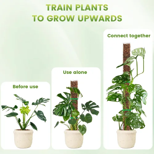Miniatura 6 de EOX 6 Piezas Postes de Musgo de Plástico de 24 Pulgadas para Monstera, Postes Grandes en Forma de D para Plantas Trepadoras que Funcionan con Musgo