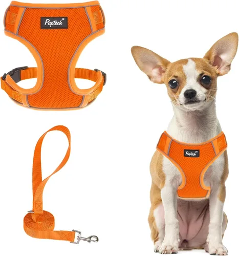 Miniatura 39 de PUPTECK Juego de arnés y correa para perro pequeño, arnés ajustable sin tirones para cachorro, chaleco de malla suave reflectante para mascotas