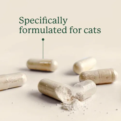 Miniatura 8 de AnimalBiome KittyBiome - Probióticos para gatos con S Boulardii (30 cápsulas) KittyBiome - Mantenimiento intestinal de triple acción fago