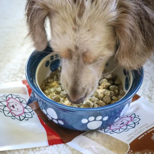 Miniatura 3 de HOLI Decoración de comida para perros de hígado de cordero – Decoración liofilizada para perro de hígado de cordero para alimentos secos – Un solo