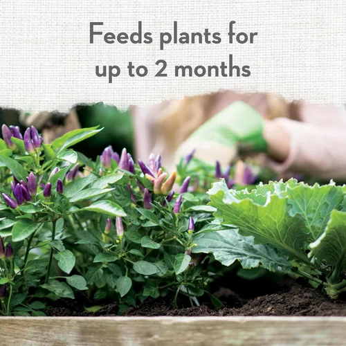 Miniatura 7 de Whitney Farms Suelo orgánico para macetas: mezcla natural para contenedores para interiores y exteriores, tierra orgánica para macetas