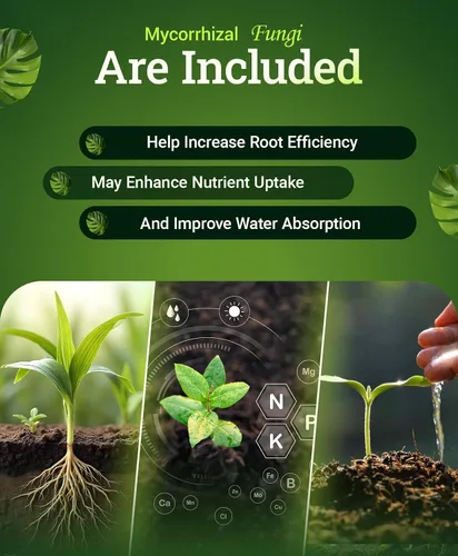 Miniatura 3 de FoxFarm Happy Frog Fertilizante para plantas amantes del ácido – Fertilizante de liberación lenta para azaleas, rododendros, arándanos y más