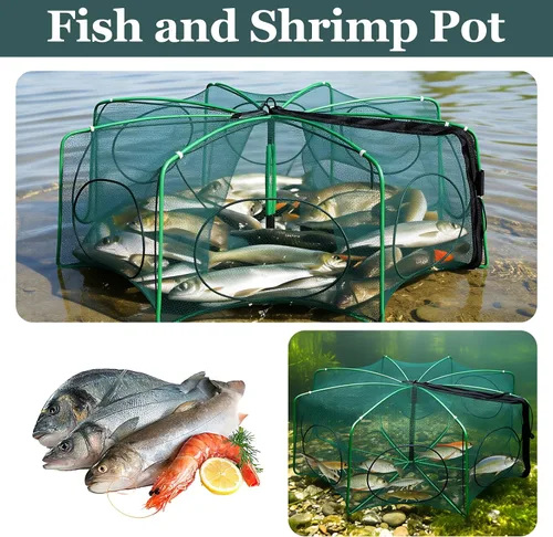 Miniatura 7 de 1/2 trampa de pesca plegable, red de camarones de cangrejos y minnow trampa portátil, trampas para cangrejos, trampas de pescado, redes de fundición
