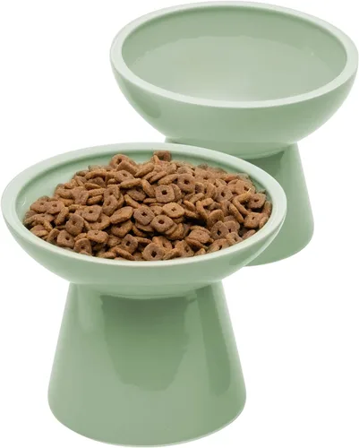 CEEFU 2 cuencos elevados de cerámica para gatos extra anchos para alimentos y agua, plato de comida poco profunda, sin plomo ni cadmio, altura Verde