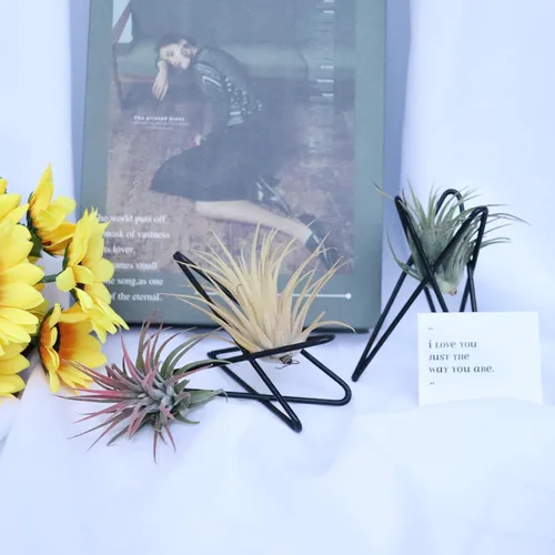 Miniatura 6 de Paquete de 4 soportes para plantas de aire, base Tillandsia, soporte geométrico moderno de metal para plantas de aire, estante de exhibición