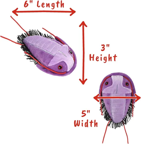 Miniatura 2 de GIANT MICROBES Fuzzy Fossils Trilobite Plush - Aprende sobre fósiles y criaturas prehistóricas, regalo único para familiares, amigos, científicos
