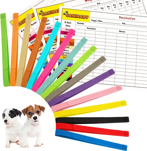 15 collares de cachorros de diferentes colores para arena con 6 tablas de registro, collares ajustables para cachorros pequeños, sirven como