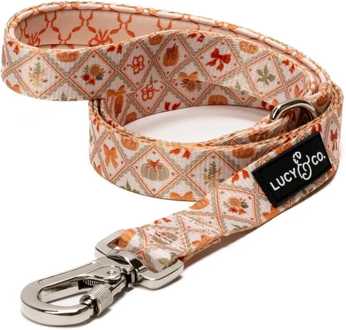 Miniatura 11 de Correa para perros de diseño Lucy & Co. - Accesorios para mascotas - Correa gruesa para perros - Asa acolchada para mayor comodidad - Entre