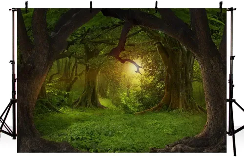 Miniatura 2 de MEHOFOND Telón de fondo de bosque de selva encantado de 7 x 5 pies, paisaje natural, fotografía, fondo, decoración de fiesta de cumpleaños