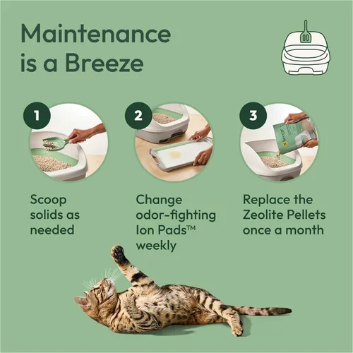 Miniatura 6 de Purina Tidy Cats - Sistema de caja de arena, kit de iniciación del sistema BREEZE, caja de arena, pellets y almohadillas Verde