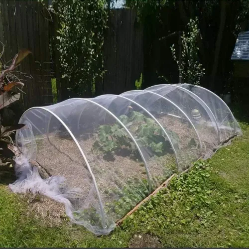Miniatura 4 de Agfabric Red de jardín de 16 x 20 pies, barrera de plagas de insectos para protección de jardín, malla de cubierta de hileras para verduras, árboles