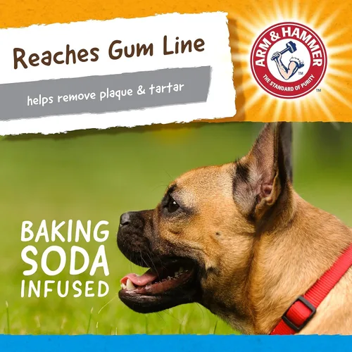 Miniatura 5 de Arm & Hammer Nubbies Gator - Juguete dental masticable para perros, sabor a menta, bicarbonato de sodio, con infusión de ranuras, placa de reducción