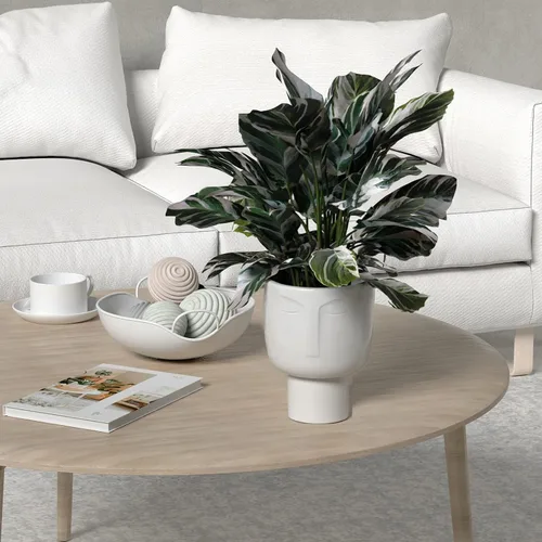 Miniatura 6 de Macetas para plantas de interior – Macetas altas de cerámica de riego automático de 7 pulgadas, maceta blanca mate con drenaje y maceta