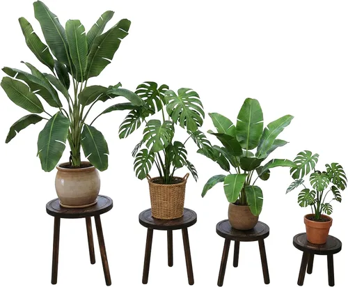 Miniatura 12 de Amdermi Paquete de 3 soportes de madera para plantas de interior, soporte para plantas individuales para macetas de 6 a 12 pulgadas, taburete Marrón