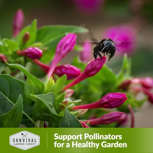 Miniatura 5 de 1 paquete de semillas de mezcla de fórmula de cuatro en punto para plantar con instrucciones para cultivar flores coloridas en tu hogar, vegetales