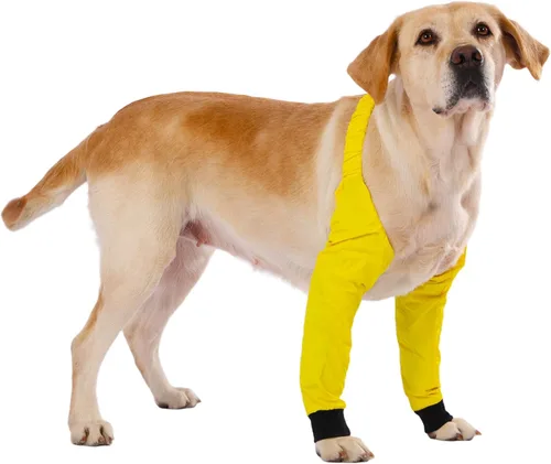 Miniatura 10 de LovinPet Mangas delanteras para perros medianos y grandes, protector impermeable para codos y rodillas, recuperación antilamientos, soporte