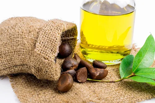 Miniatura 6 de OPO Aceite de semilla de camelia, 8 onzas, puro, sin refinar, prensado en frío, sin OMG, aceite portador japonés a granel para piel, cabello, uñas