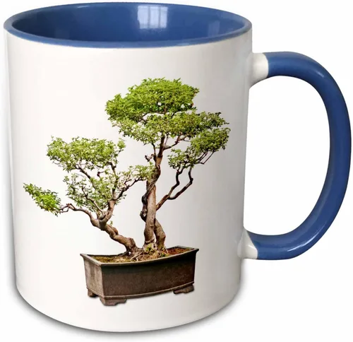 3dRose Penjing Bonsai 11oz Two-Tone Blue Mug Azul