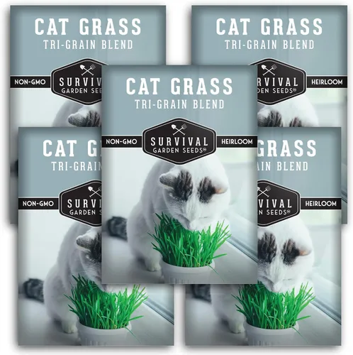 Miniatura 12 de Semillas de hierba para gatos para plantar, 2 paquetes con instrucciones para plantar y cultivar verduras para tu mascota en interiores o exteriores