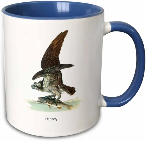 Miniatura 12 de 3dRose, Taza negra bicolor de 11 oz, negro/blanco