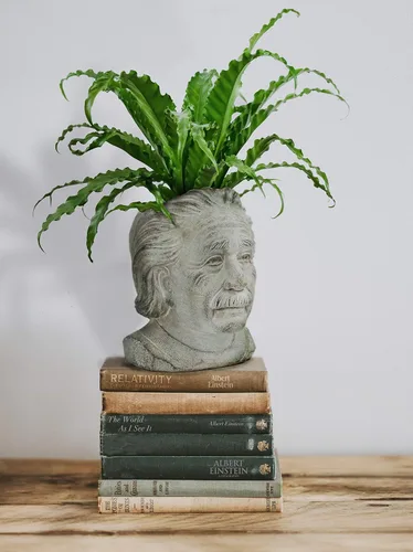Miniatura 5 de Abbott Collection - Maceta pequeña con cabeza de Einstein, color gris (4 x 8 pulgadas)