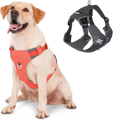 LIOPARD Arnés para perro, arnés para mascotas fácil de caminar sin tirones, con 2 clips para correa, chaleco reflectante suave acolchado ajustable