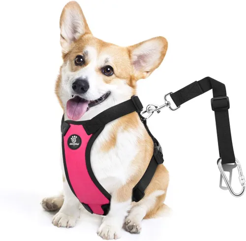 Miniatura 36 de VavoPaw cinturón de seguridad para perro, arnés de coche con peto de seguridad y hebilla ajustable para vehículo, cinturón de seguridad de nailon