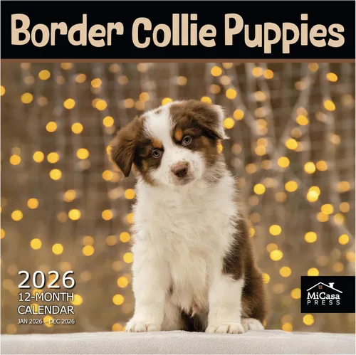 Miniatura 27 de MICASA PRESS Beagles - Calendario de pared 2026 de 12 meses 12 x 24 pulgadas abierto Papel grueso y resistente Regalo Lindo calendario