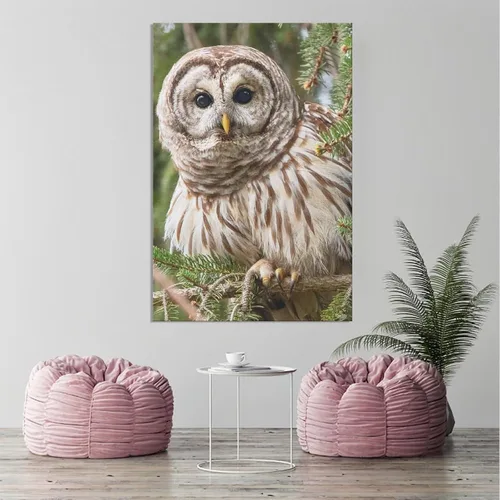 Miniatura 3 de Póster de lienzo con diseño de búho con diseño de pájaro con diseño de barras, decoración de dormitorio, paisaje deportivo, oficina, habitación