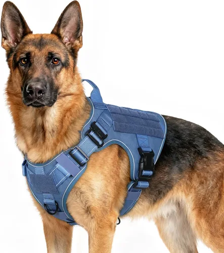 Miniatura 25 de rabbitgoo - Arnés táctico para perros pequeños, arnés resistente para mascotas con asa, chaleco de servicio sin tirones para razas pequeñas, chaleco