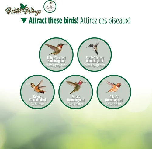 Miniatura 6 de Wild Wings WWGHF1 - Comedero para colibrí, color azul