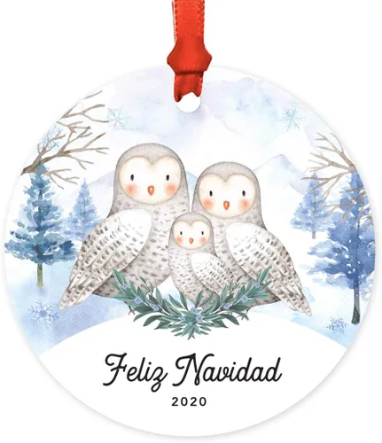 Miniatura 78 de Andaz Press Adorno redondo de recuerdo de Navidad, nuestro 10 aniversario 2025, búhos de nieve de invierno en acuarela, 1 paquete, incluye cinta